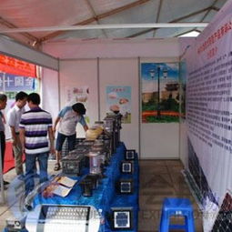 專業會議及展覽服務 南寧市悅龍會議展覽服務有限責任公司為東盟博覽會、廣西婚博會等展會提供標準展位一站式解決方案