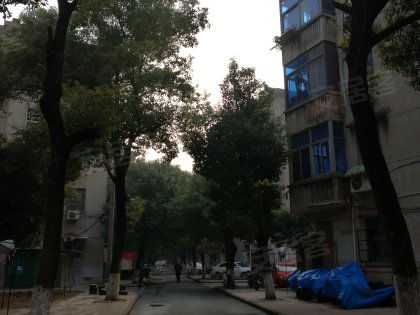 戚廠工房北區深度解析 居住優勢與不足，以及周邊經紀人專業評價